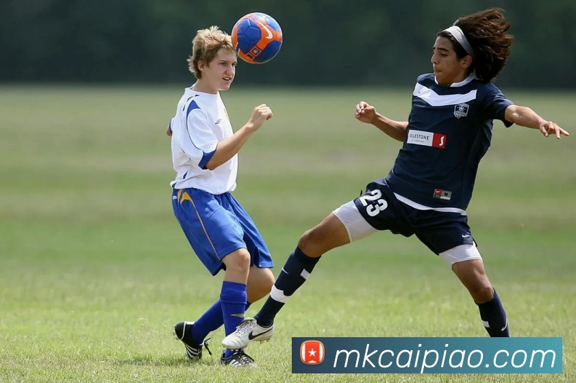 MK彩票平台生态图